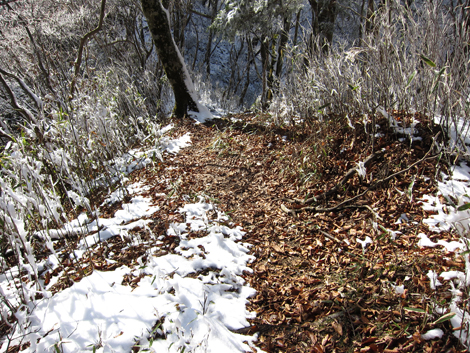 20191129hike (259)